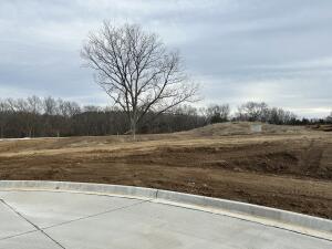 248 Boone Point Subdivision Property Photo 4
