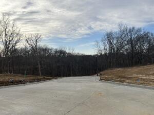 252 Boone Point Subdivision Property Photo 8