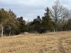 252 Boone Point Subdivision Property Photo 15