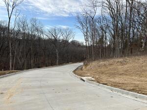 252 Boone Point Subdivision Property Photo 18