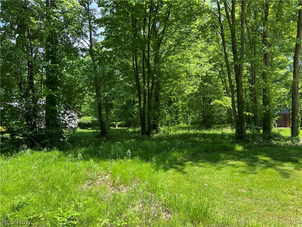 Shadyside Avenue Lot 2 Property Photo 1