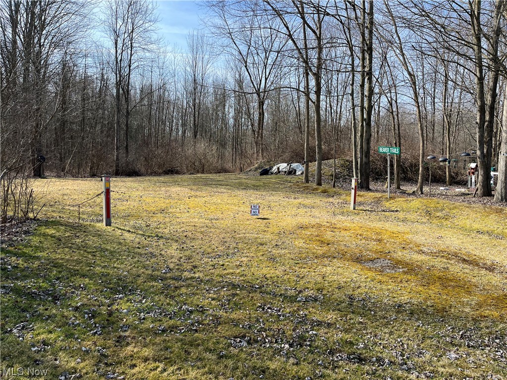 Carson Salt Springs Road Property Photo 1