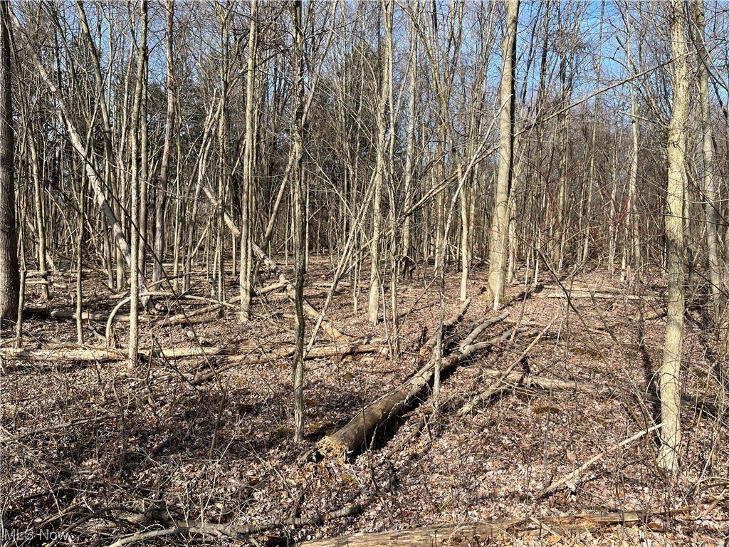 Carson Salt Springs Road Property Photo 3