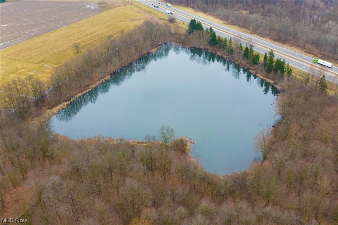 Carson Salt Springs Road Property Photo 11