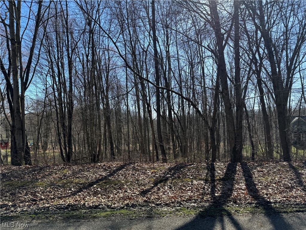 49081 Hickman Road Property Photo 1