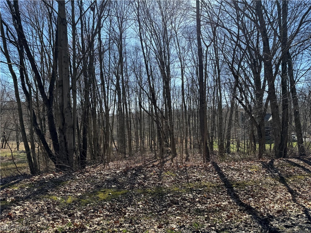 49081 Hickman Road Property Photo 2