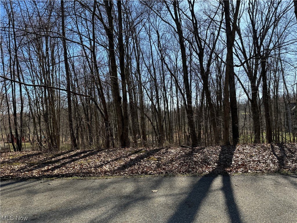 49081 Hickman Road Property Photo 3