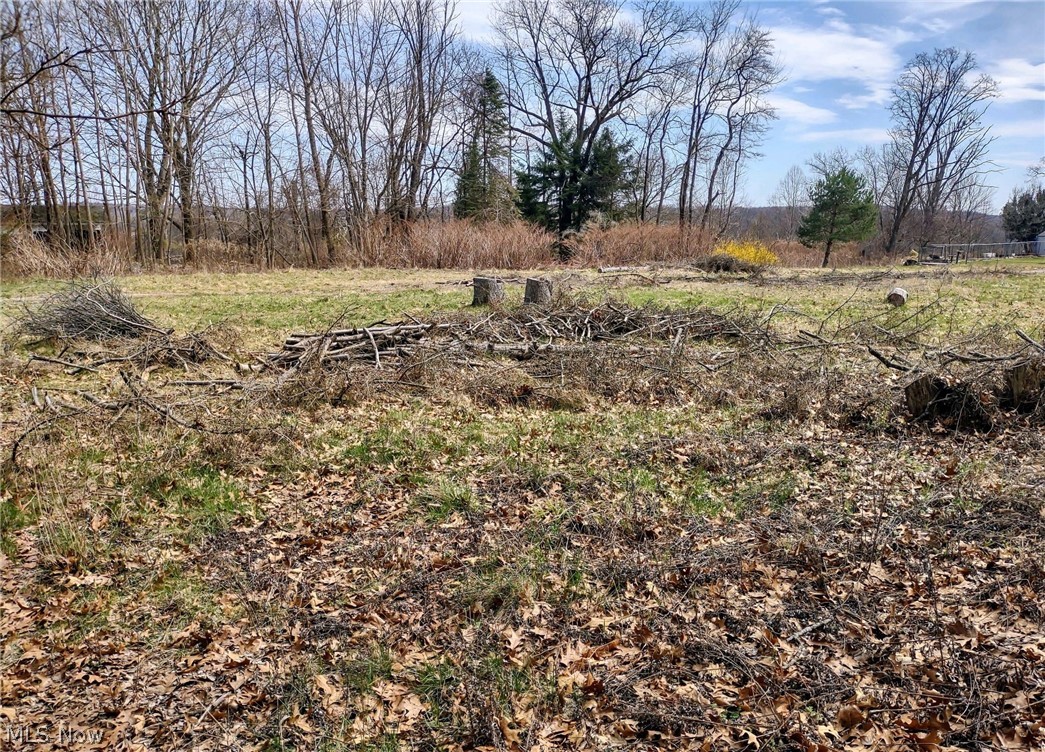 1292 Longstone Avenue Property Photo 2