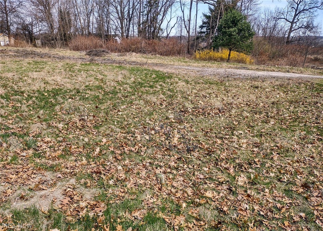1292 Longstone Avenue Property Photo 3