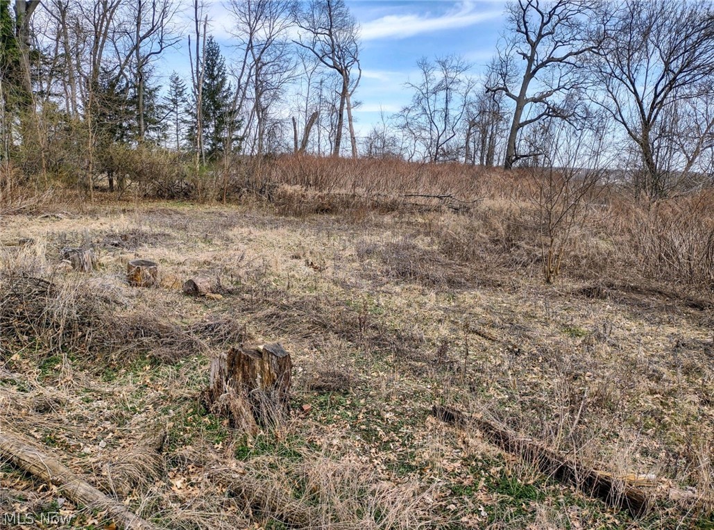 1292 Longstone Avenue Property Photo 4