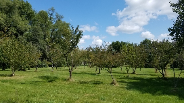 5548 W Heatherbrook Trail Property Photo 1