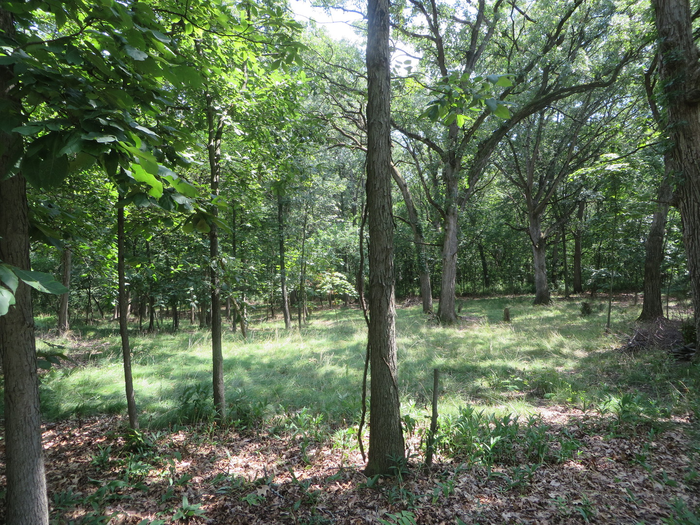 Lot 14 Six Mile Grove Property Photo 2