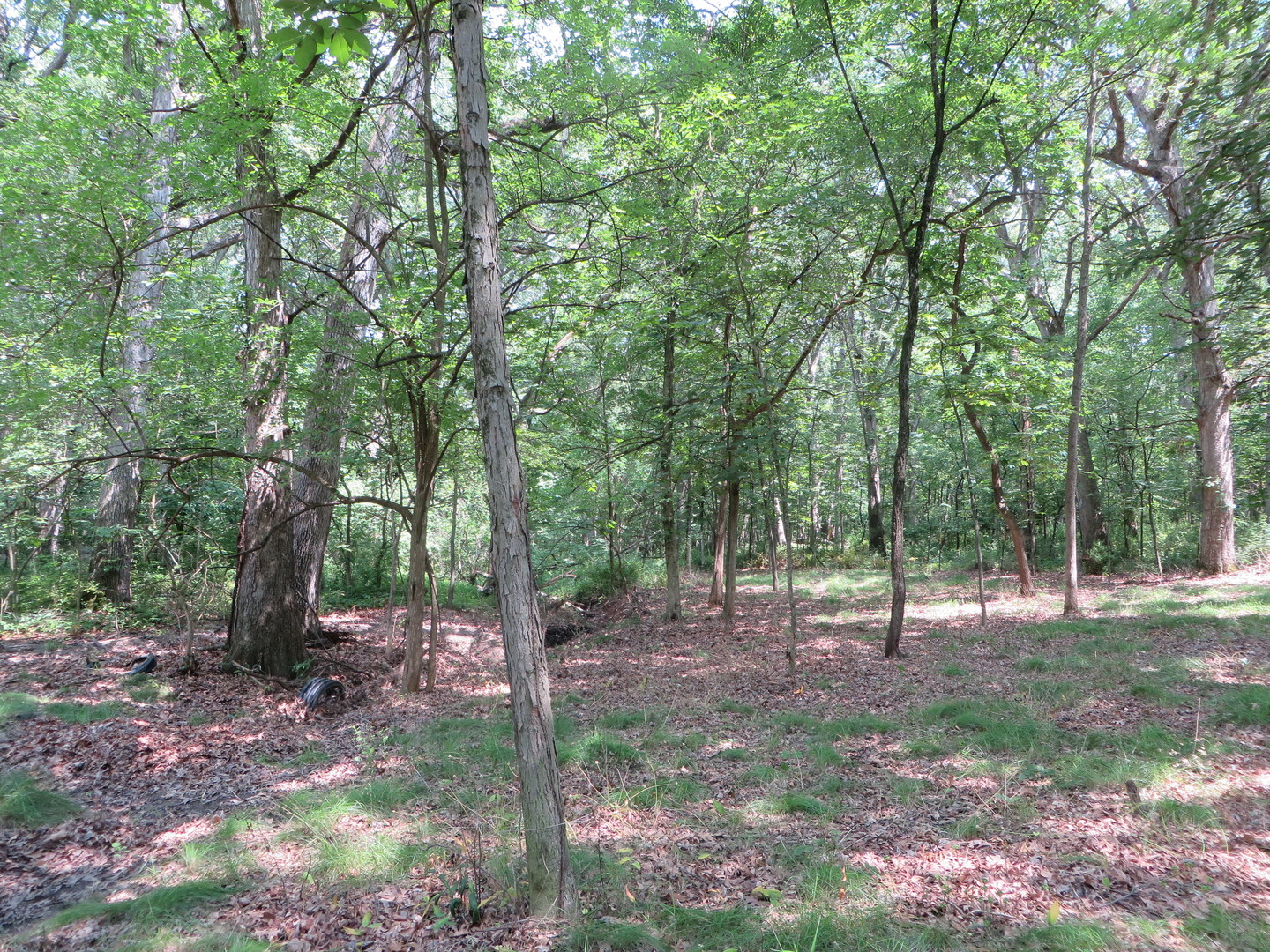 Lot 14 Six Mile Grove Property Photo 3