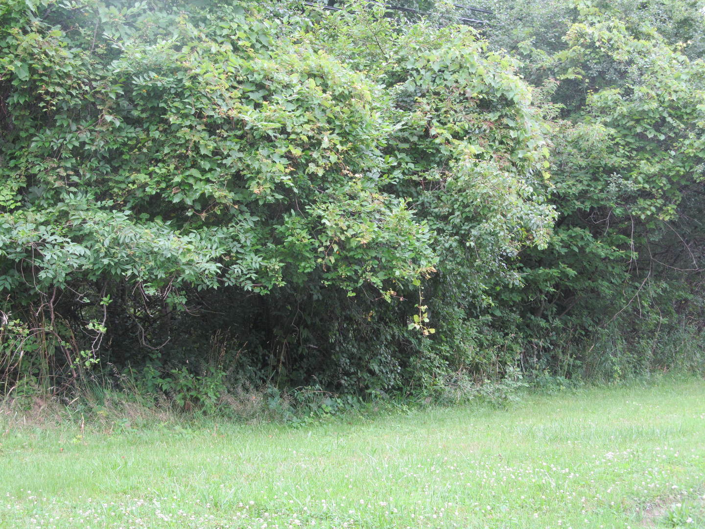 17410 GEORGE BRENNAN Highway Property Photo 1