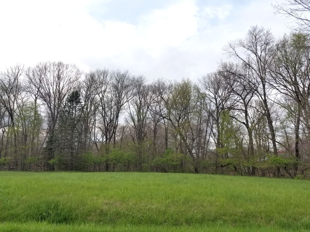 Lot 773 Cardinal Drive Property Photo 1