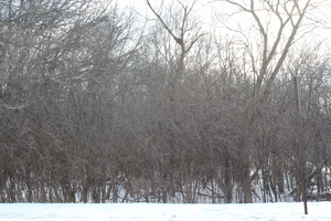 930 N Fairfield Road Property Photo