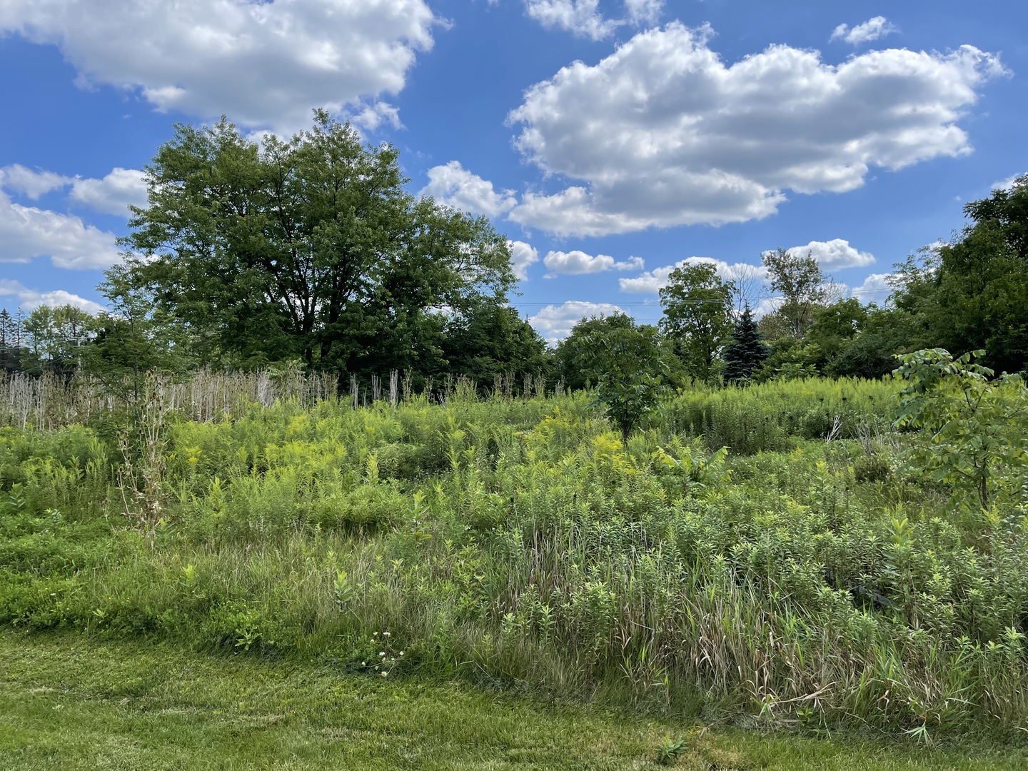 Lot 6 N Owl Court Property Photo