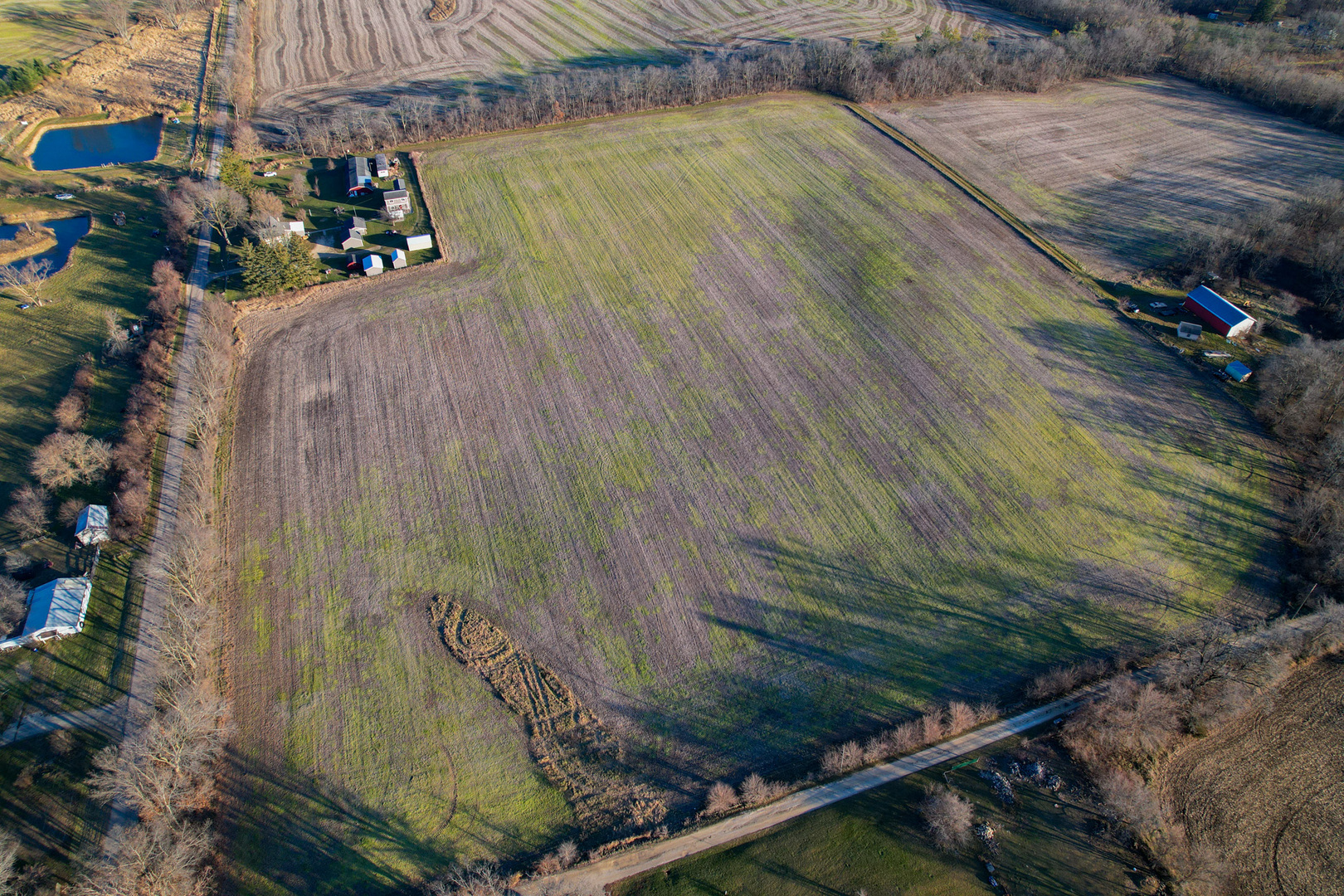 00 (30 Ac) Moody Road Property Photo 6