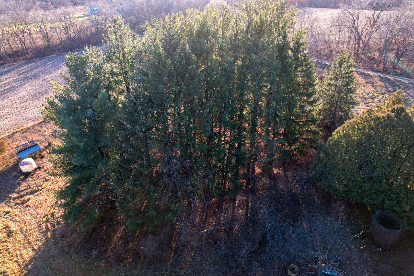 00 (30 Ac) Moody Road Property Photo 21
