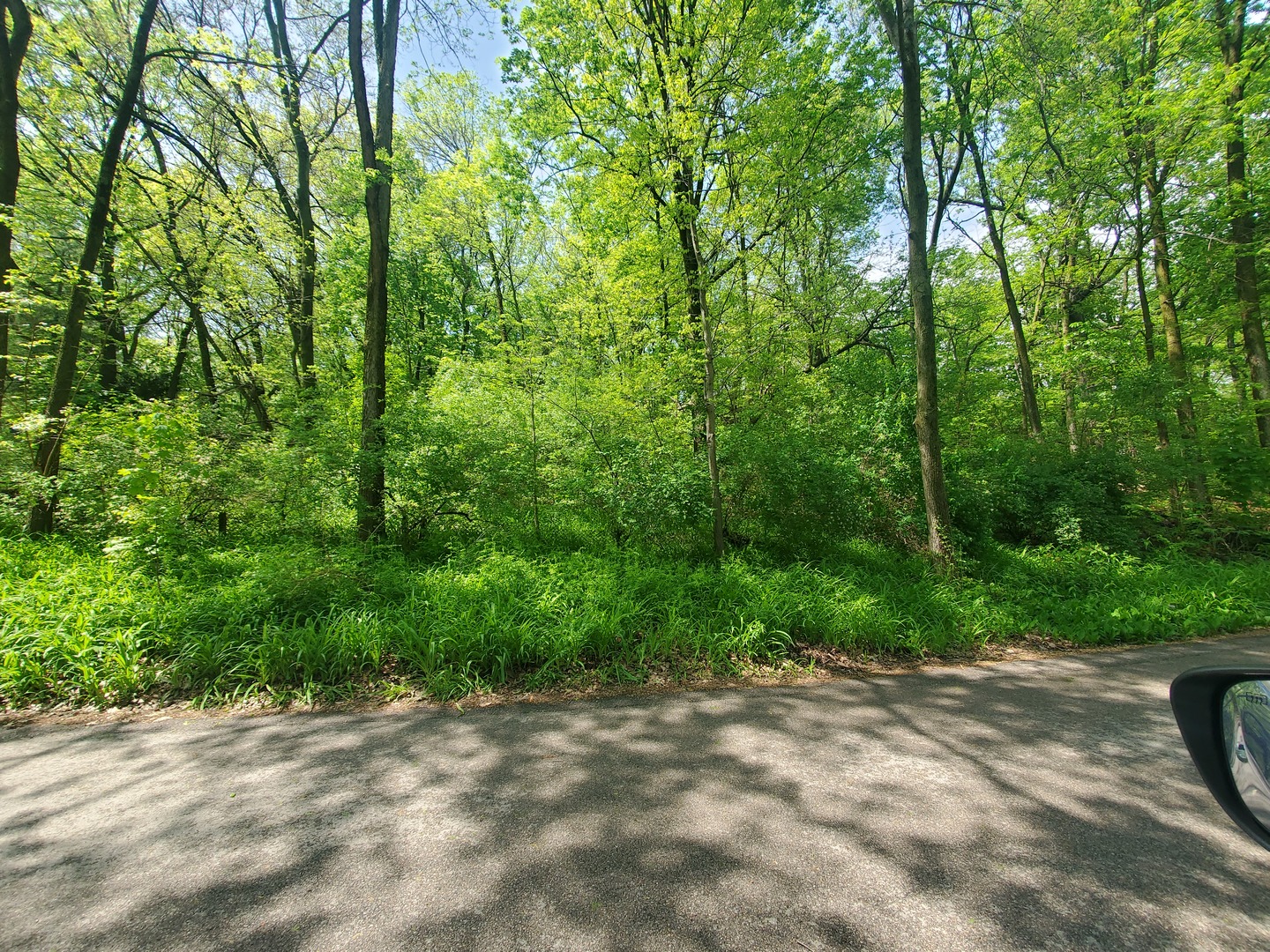 39080 N Jackson Drive Property Photo 1