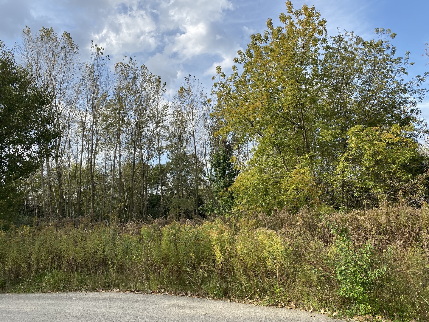 Highland Pines Real Estate Listings Main Image
