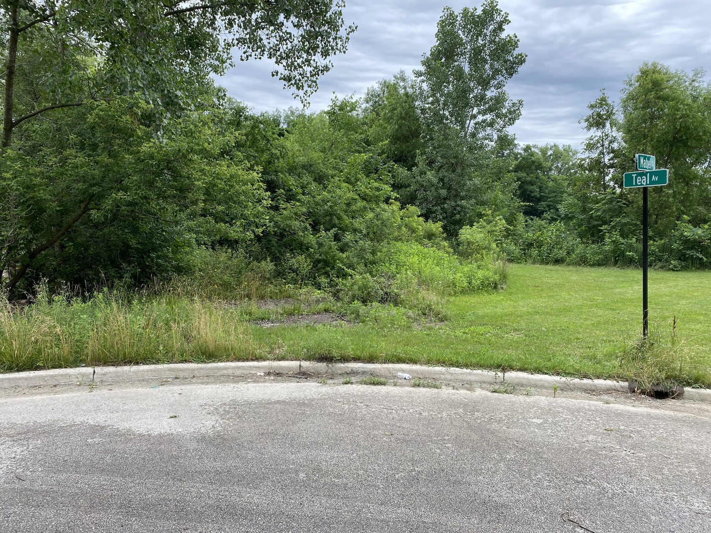 Lot 17 Teal Avenue Property Photo 1