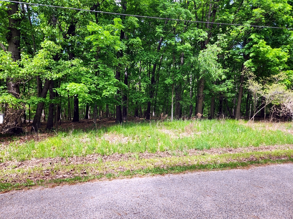Lot 285 Winter Haven Drive Property Photo 2