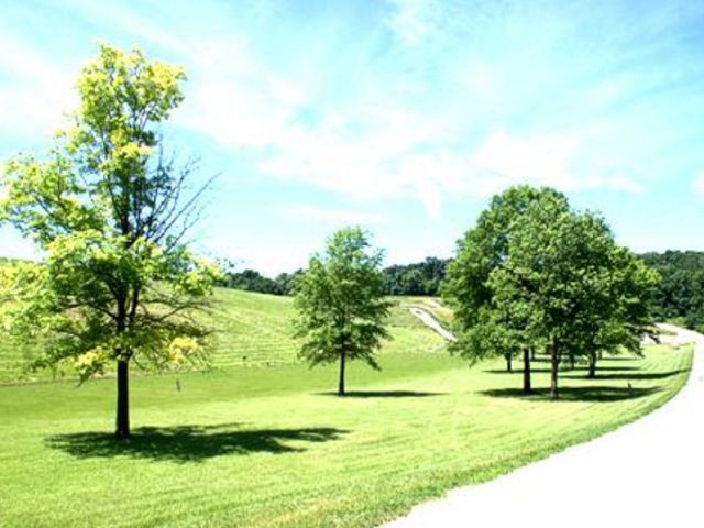 Lot 285 Winter Haven Drive Property Photo 24