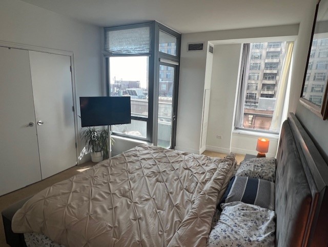 600 N Lake Shore Drive 914 Property Photo 14