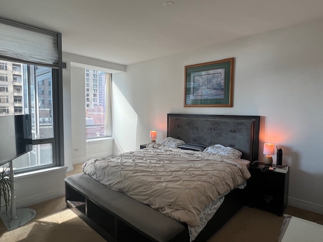 600 N Lake Shore Drive 914 Property Photo 15