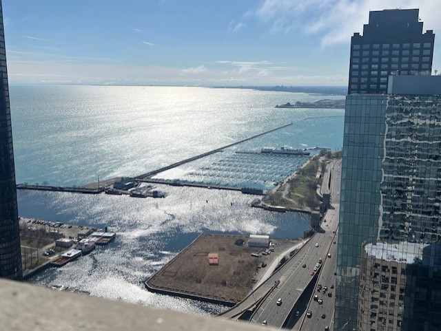 600 N Lake Shore Drive 914 Property Photo 27