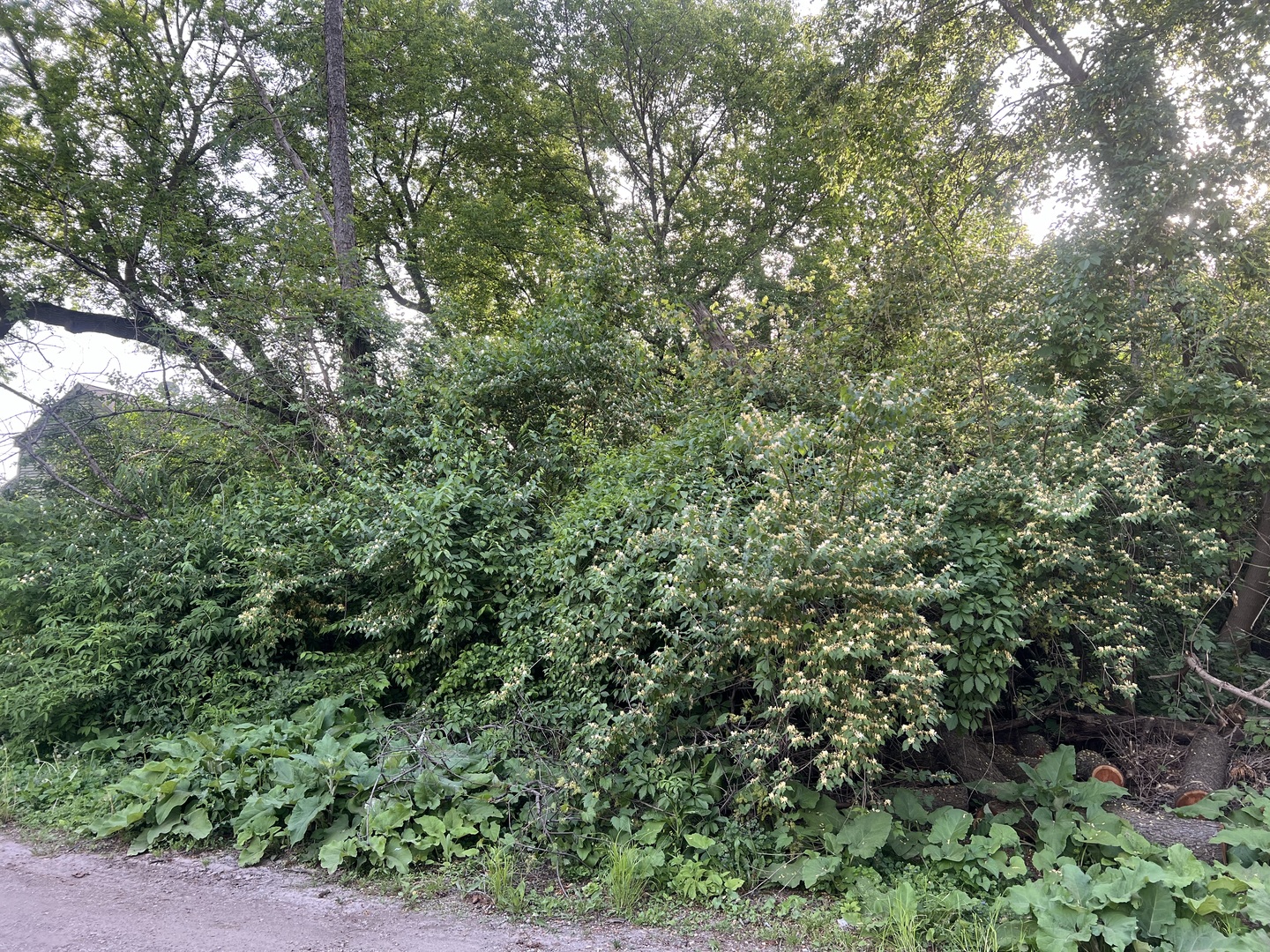 10401 Kenilworth Avenue Property Photo 1