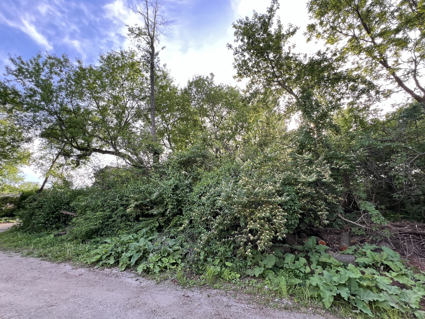10401 Kenilworth Avenue Property Photo 2