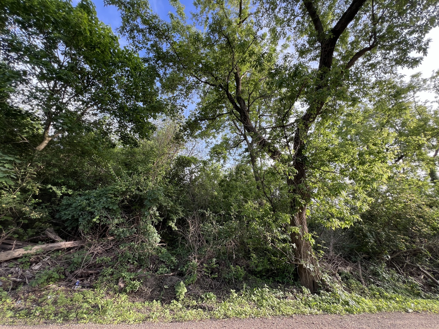 10401 Kenilworth Avenue Property Photo 3
