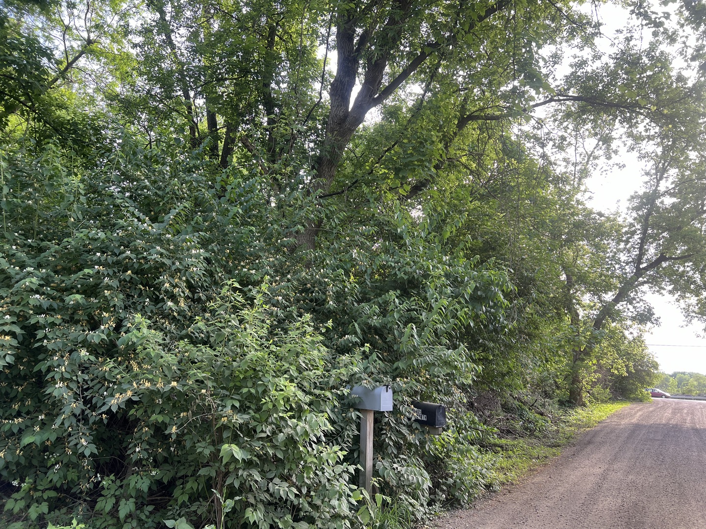 10401 Kenilworth Avenue Property Photo 8