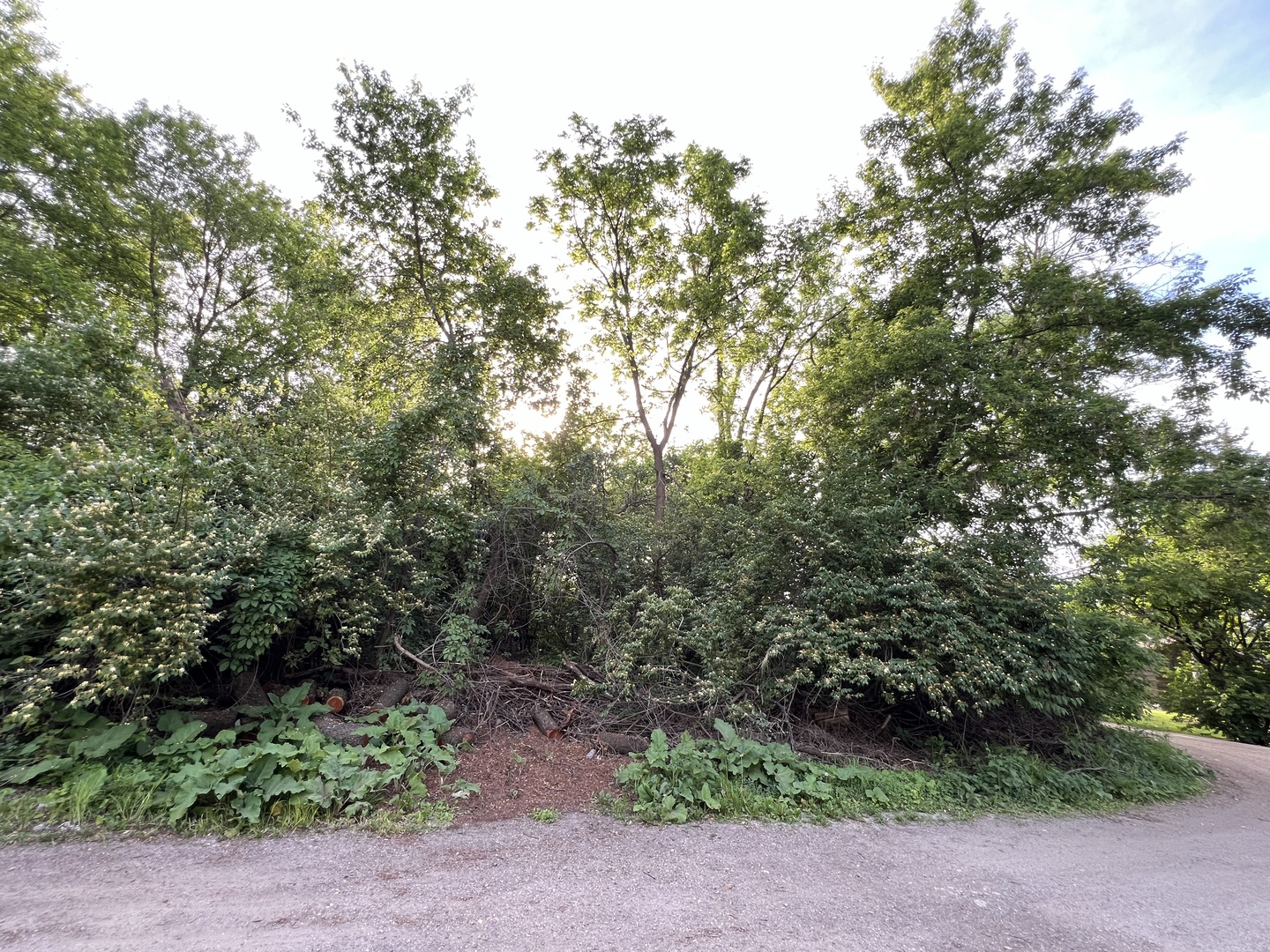 10401 Kenilworth Avenue Property Photo 9