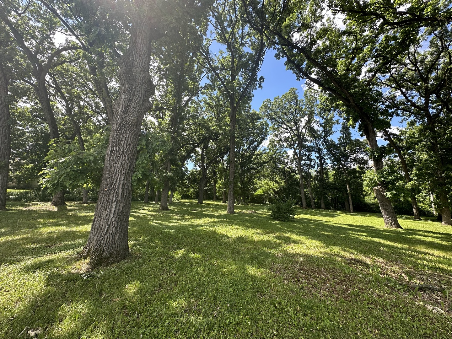 12390 Oakcrest Drive Property Photo 4