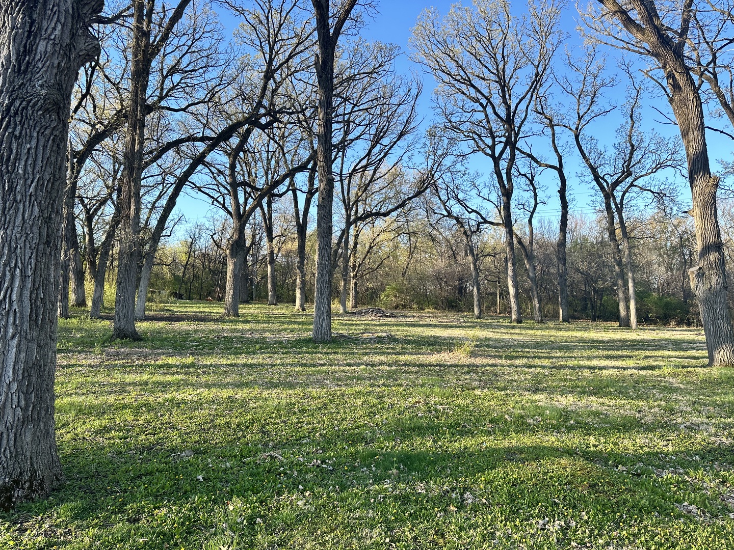 12390 Oakcrest Drive Property Photo 8