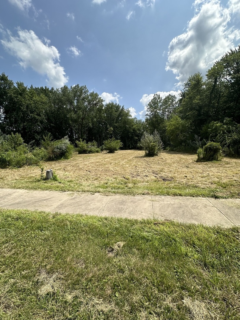 375 N Division Street Property Photo 2