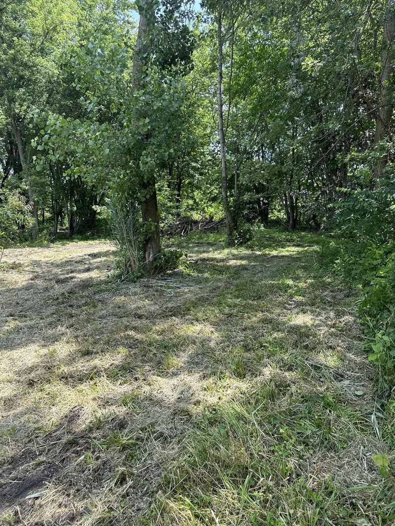 375 N Division Street Property Photo 5