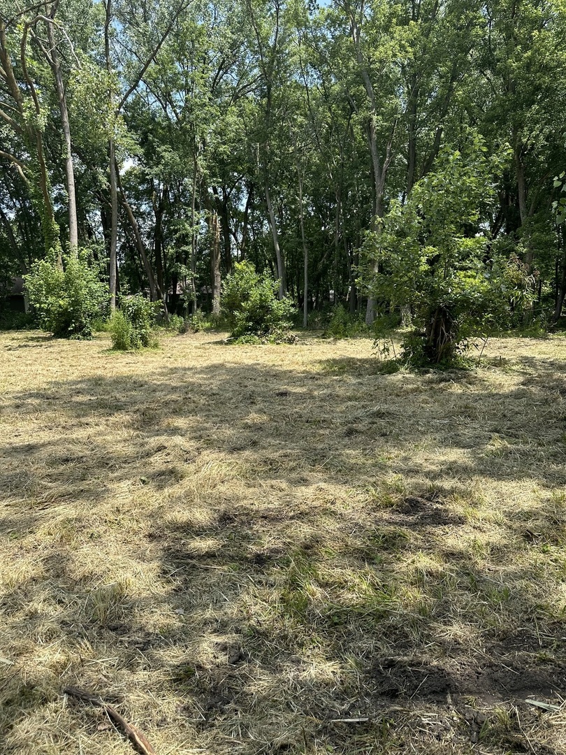 375 N Division Street Property Photo 6