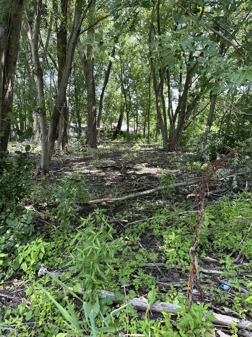 375 N Division Street Property Photo 8