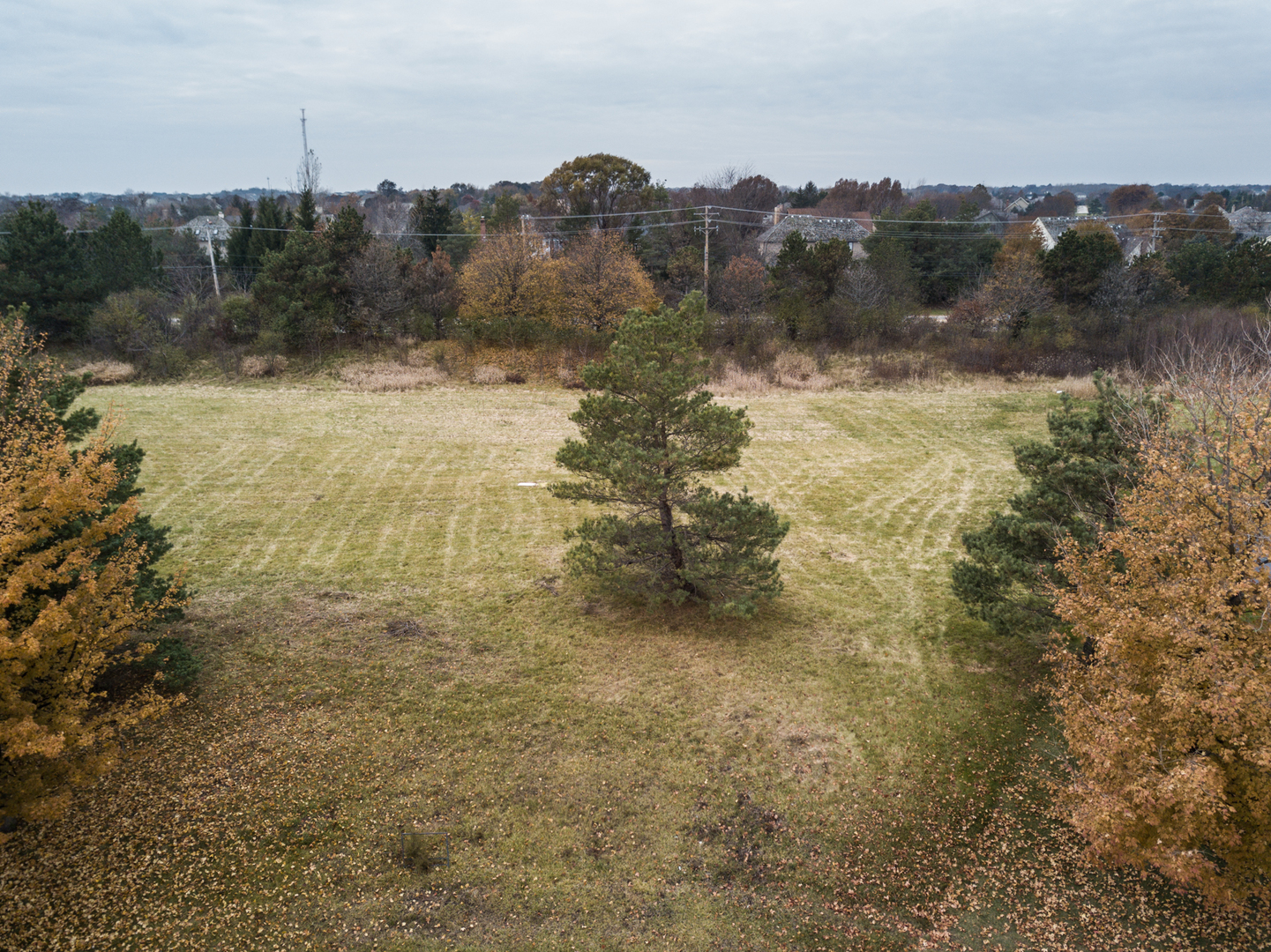21601 Hampshire Place Property Photo 4