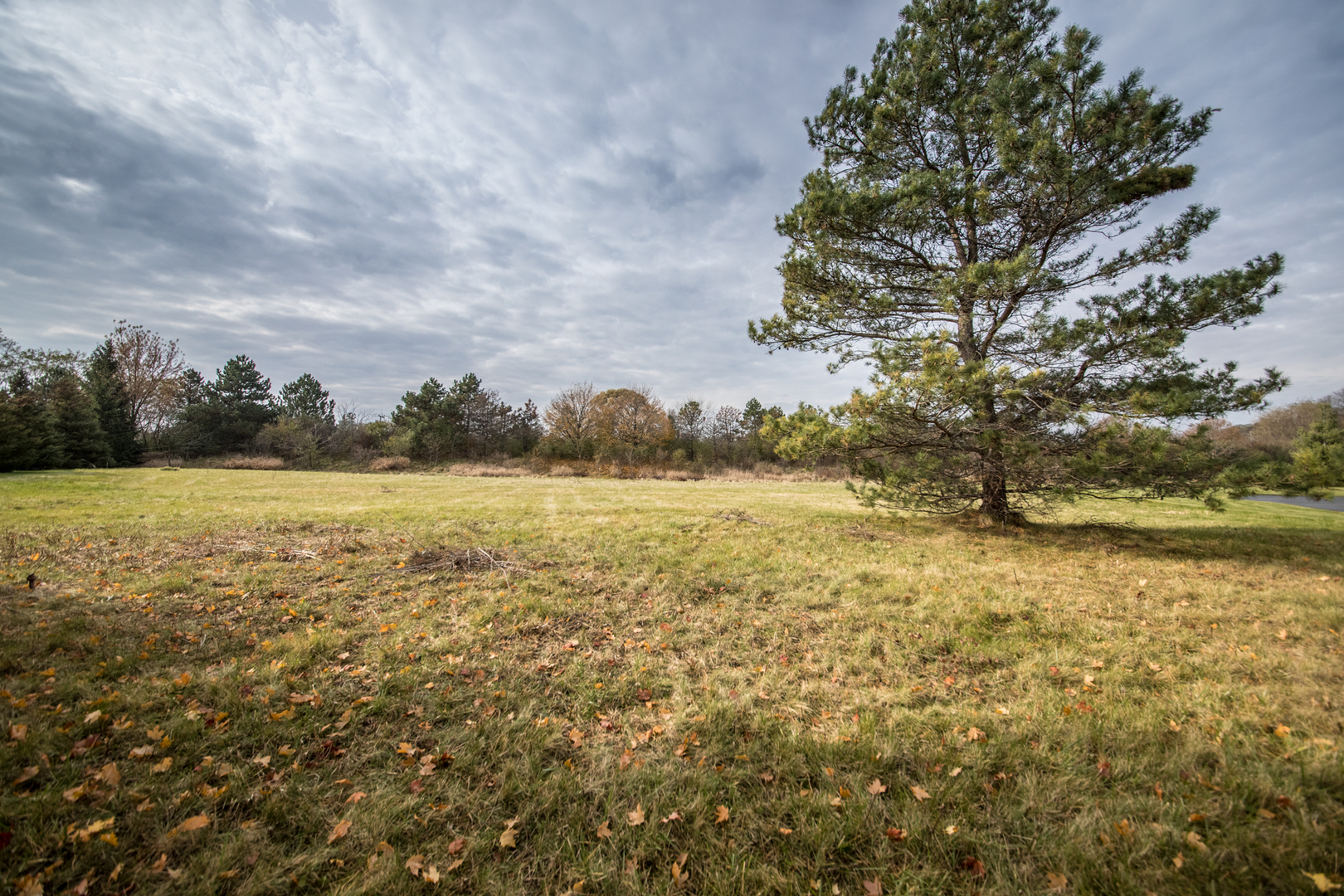 21601 Hampshire Place Property Photo 6