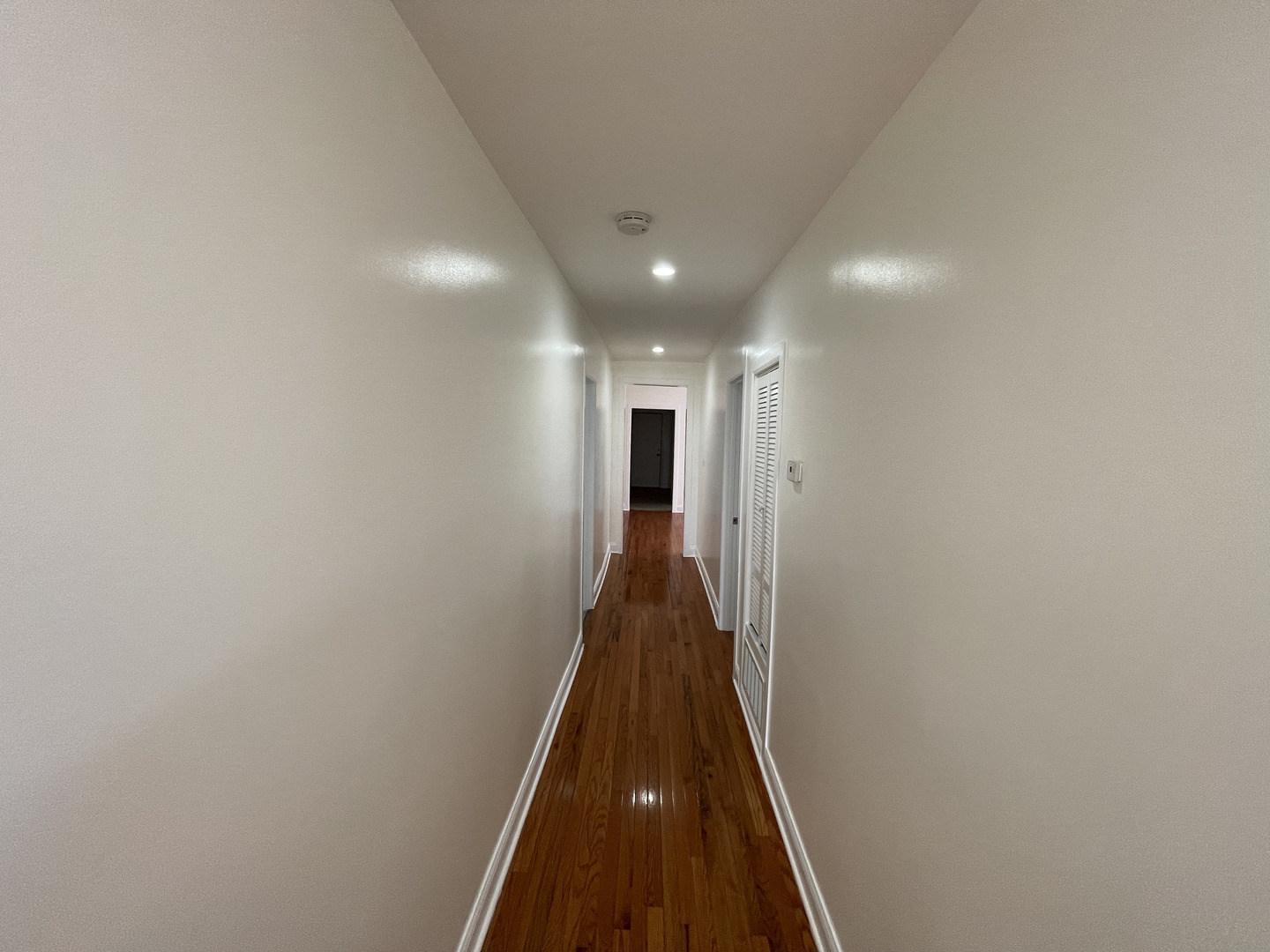 5123 S Indiana Ave Property Photo 5