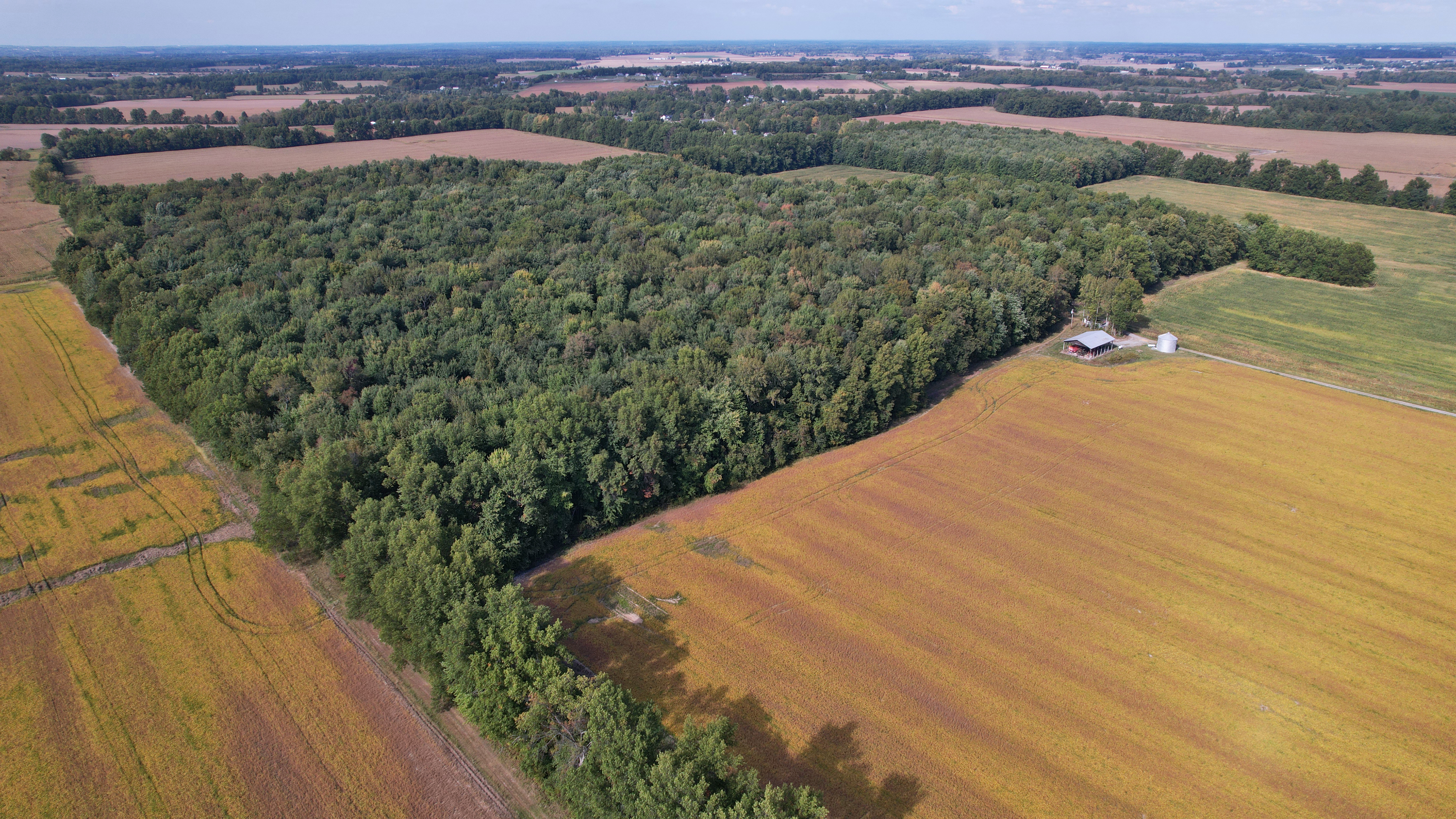 State Route 350 Property Photo 7