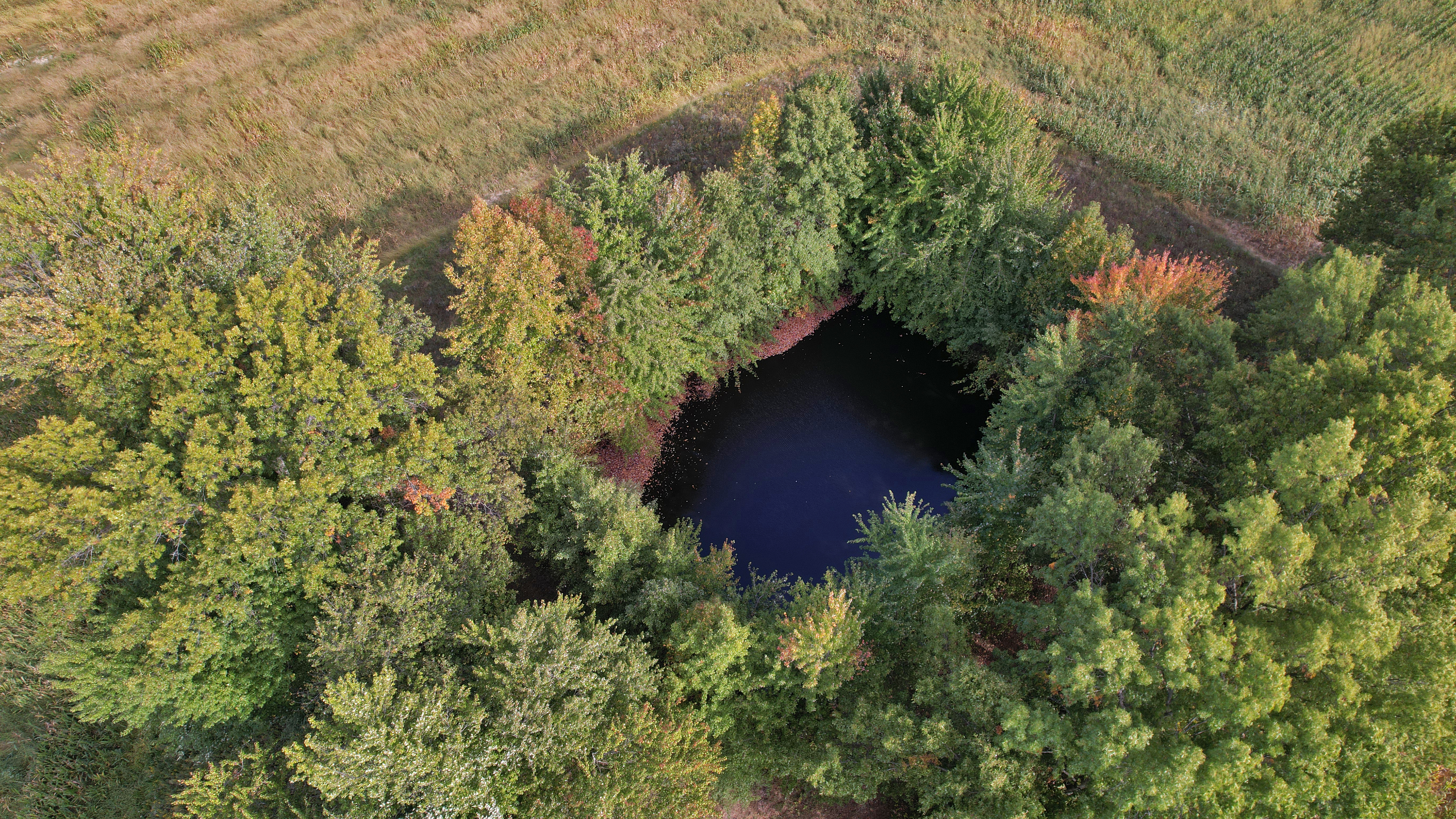 State Route 350 Property Photo 10