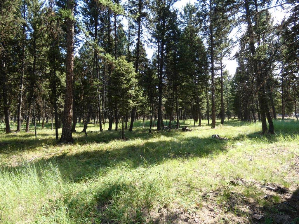 3214 Hwy 83 Property Photo
