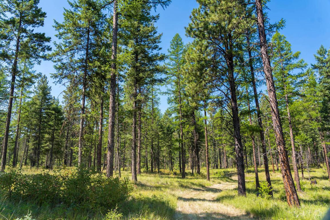 6870 Us Hwy 93 S Property Photo 5