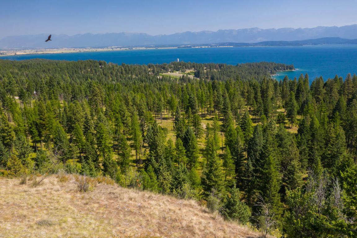 6870 Us Hwy 93 S Property Photo 19
